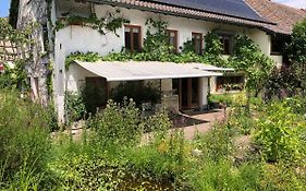 Ferienhaus Mit Naturgarten