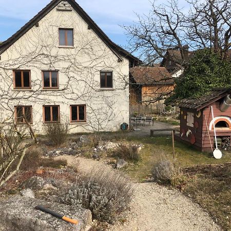 Ferienhaus Mit Naturgarten Dachsen Экстерьер фото