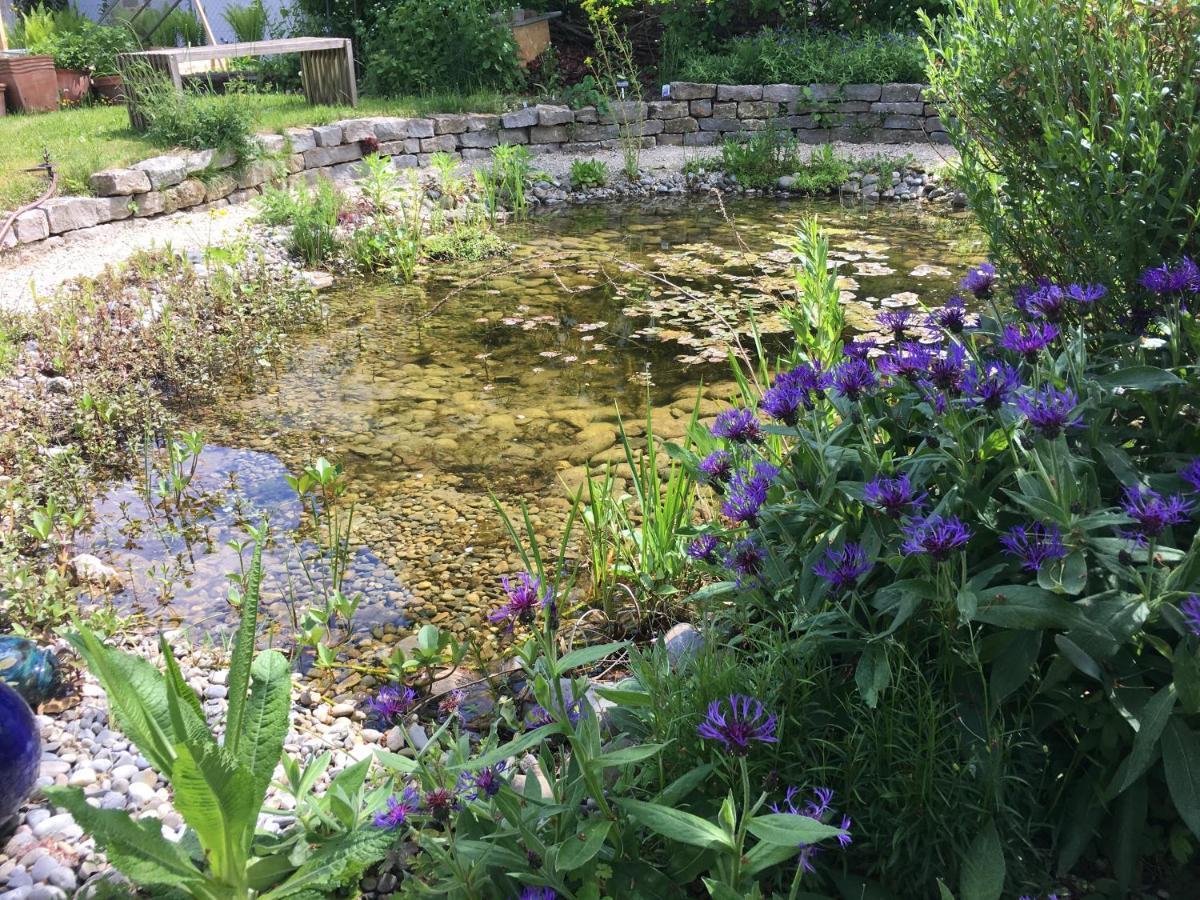 Ferienhaus Mit Naturgarten Dachsen Экстерьер фото